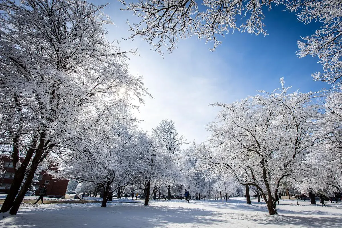 Campus in the winter